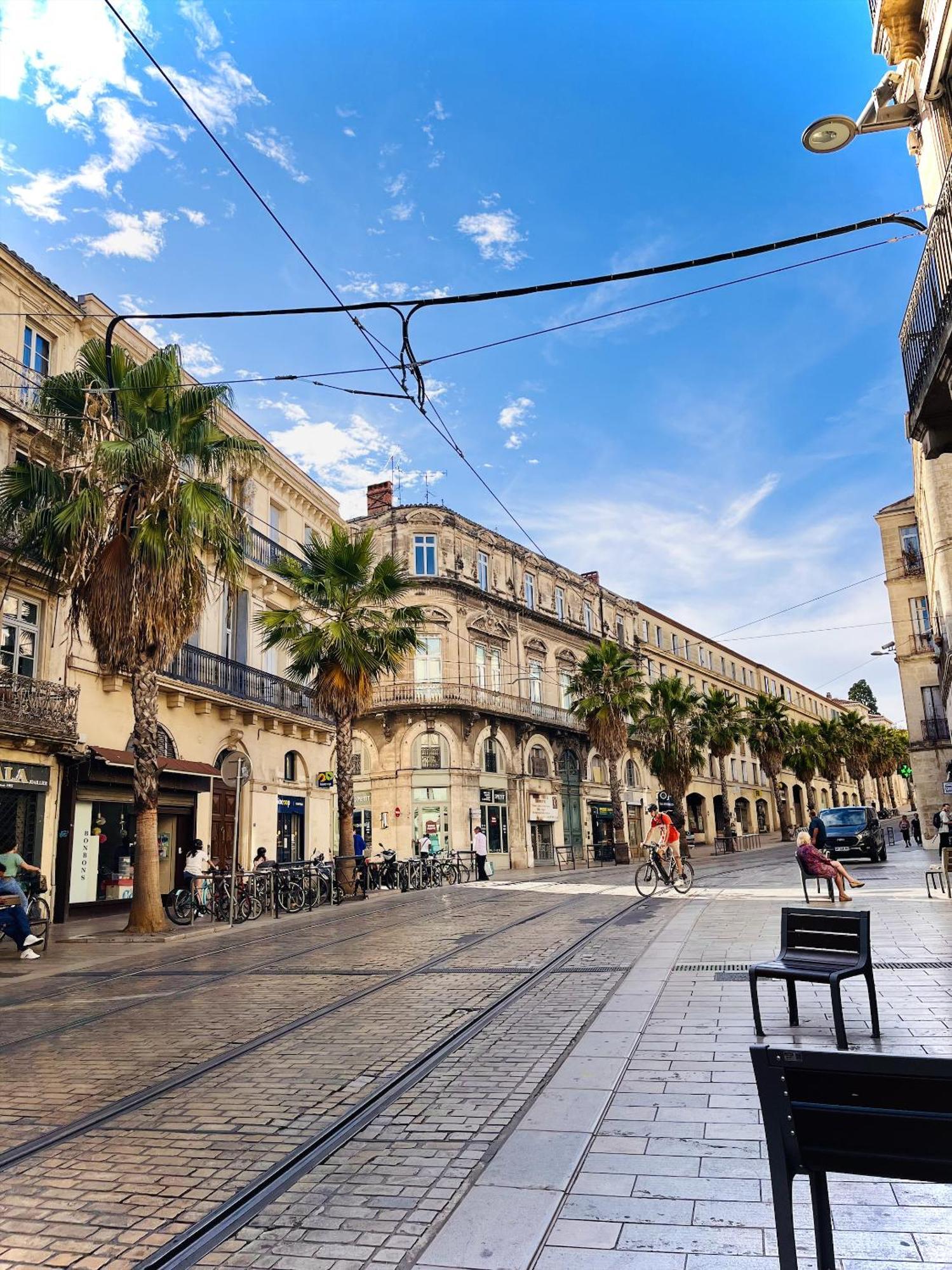 Cosy Suite - Elegance & Calme En Hyper-Centre Montpellier Exterior foto